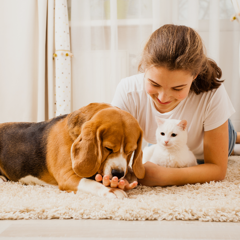 Interesting facts about the positive impact of a pet on the owner